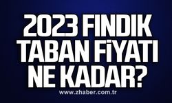 2023 fındık taban fiyatı ne kadar?