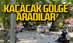 Kaçacak gölge aradılar