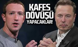 Elon Musk ve Mark Zuckerberg kafes dövüşü yapacak!