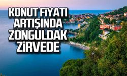 Konut fiyatı artışında Zonguldak zirvede!