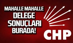 CHP Zonguldak Merkez İlçe delege sonuçları!