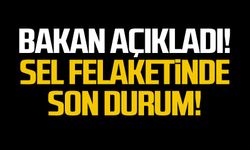 Bakan açıkladı! Sel felaketinde son durum!