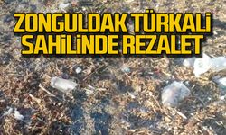 Zonguldak Türkali sahilinde rezalet!