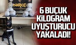 6 buçuk kilogram uyuşturucu yakaladı!