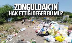 Zonguldak'ın hak ettiği değer bu mu?