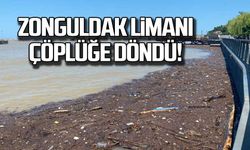 Zonguldak limanı çöplüğe döndü!