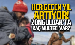 Her geçen yıl artıyor! Zonguldak'ta kaç mülteci var?
