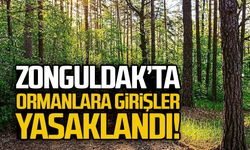 Zonguldak’ta ormanlara girişler yasaklandı!