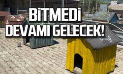 Veteriner Özdil; "Bitmedi, devamı gelecek!"