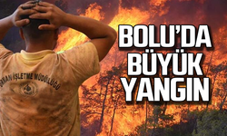 Bolu'da büyük yangın! Valilik açıklama yaptı!