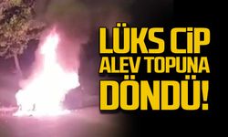 Lüks cip alev topuna döndü!