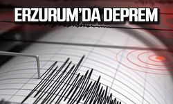 Erzurum Narman'da deprem oldu!