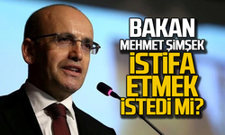 Bakan Mehmet Şimşek istifa etmek istedi mi?