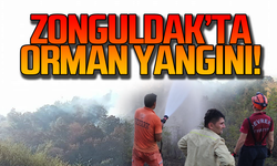 Zonguldak'ta Orman yangını! Ekipler olay yerinde!