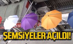 Zonguldak şemsiyelerle süslendi!