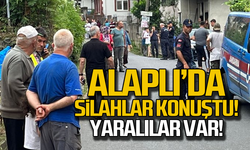 Alaplı'da silahlar konuştu! Yaralılar var!