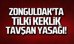 Zonguldak'ta tilki, keklik, tavşan yasağı!