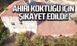 Ahırı koktuğu için şikayet edildi!