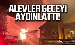 Alaplı'da korkutan yangın! Alevler geceyi aydınlattı!