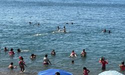 Kapuz Plajı'nı 105 binden fazla vatandaş ziyaret etti!