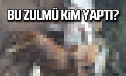 Zonguldak’ta ayakları bağlı şekilde ölüsü bulundu!