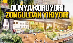 Dünya koruyor! Zonguldak yıkıyor!