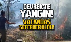 Devrek'te yangın! Köylüler seferber oldu!