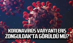 Koronavirüs varyantı Eris Zonguldak'ta görüldü mü?