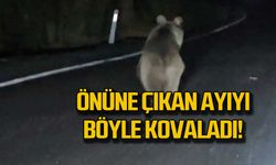 Önüne çıkan Ayıyı böyle kovaladı!