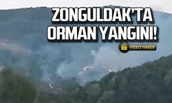 Zonguldak'ta orman yangını!
