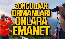 Yeşil vatan bekçileri görev başında... Zonguldak Ormanları nasıl izleniyor?