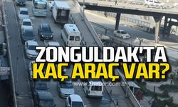 Zonguldak'a kayıtlı kaç araç var?