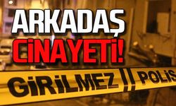 Düzce'de Arkadaşların kavgası cinayetle bitti!