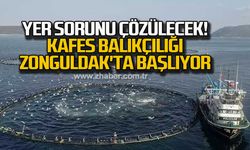 Yer sorunu çözülecek! Kafes balıkçılığ Zonguldak'ta başlıyor