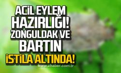 Acil Eylem Hazırlığı! Zonguldak ve Bartın istila altında!