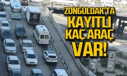 Zonguldak'ta kayıtlı kaç otomobil var?