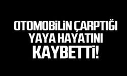 Otomobilin çarptığı yaya hayatını kaybetti!