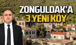 Zonguldak'a 3 yeni köy
