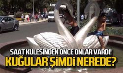 Saat kulesinden önce kuğular vardı! Şimdi nerede?