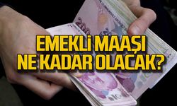 Emekli maaşı ne kadar olacak?