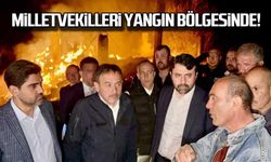 Milletvekilleri yangın bölgesinde!