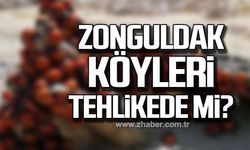 Zonguldak köyleri tehlikede mi?