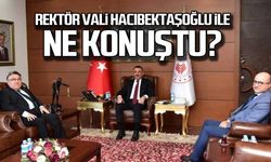 ZBEÜ Rektörü Zonguldak Valisi ile ne konuştu?