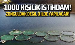 1000 kişilik istihdam! Zonguldak yerine Kastamonu'da yapılacak!