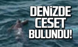 Zonguldak sahilinde ceset bulundu!