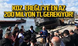 Kdz Ereğli'ye en az 200 milyon TL gerekiyor!