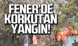 Zonguldak Fener'de yangın!