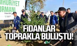 Zonguldak'ta fidanlar toprakla buluştu!