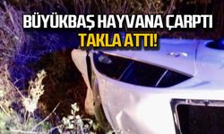 Büyükbaş hayvana çarptı, takla attı!