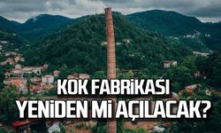 87 yıl sonra Zonguldak'a kok fabrikası mı açılacak?